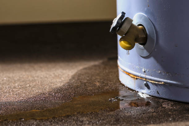 Best Flood damage cleanup  in Ship Bottom, NJ