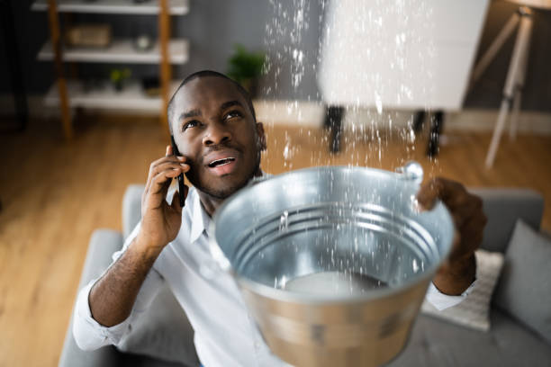 Best Water damage mitigation services  in Ship Bottom, NJ