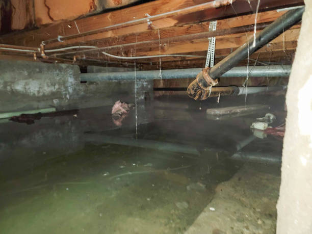 Reliable Ship Bottom, NJ Water damage restoration Solutions