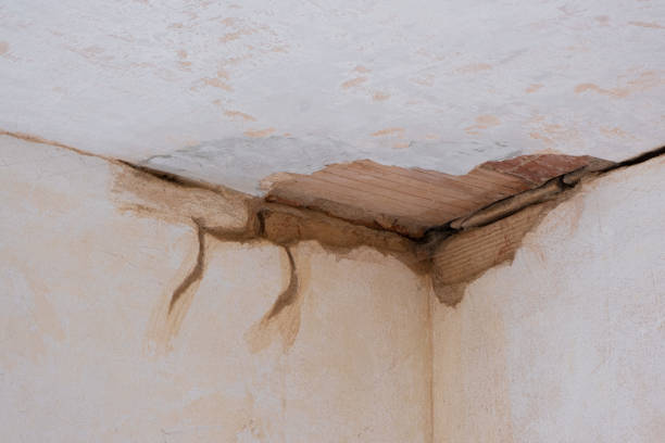 Best 24/7 water damage repair  in Ship Bottom, NJ