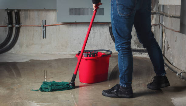 Water damage restoration insurance claims in Ship Bottom, NJ