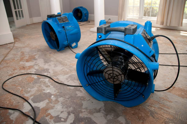 Carpet water damage restoration in Ship Bottom, NJ