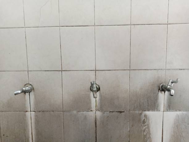 Best Ceiling water damage repair  in Ship Bottom, NJ