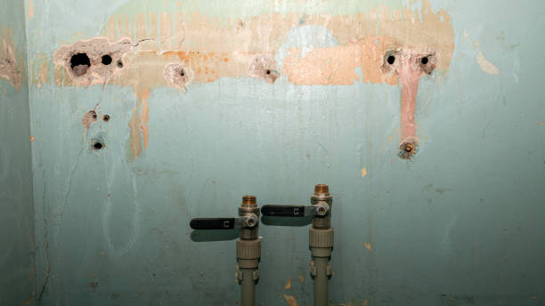 Best Sewage cleanup and water damage restoration  in Ship Bottom, NJ