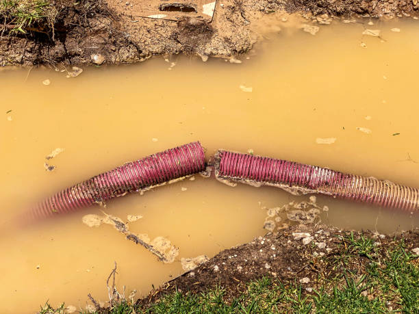 Best Sewage cleanup and water damage restoration  in Ship Bottom, NJ