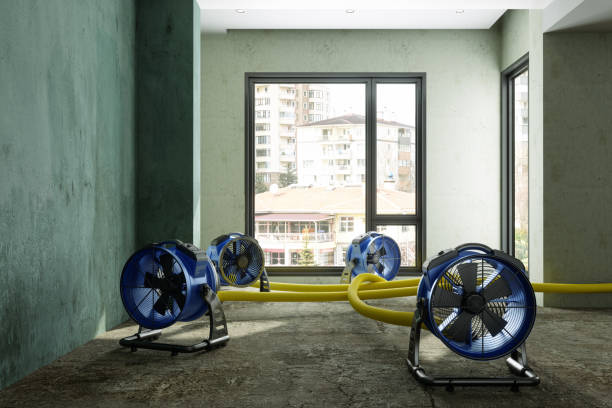 Trusted Ship Bottom, NJ Water damage restoration Experts