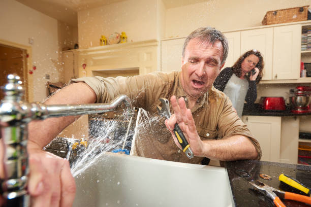 Best Basement water damage restoration  in Ship Bottom, NJ